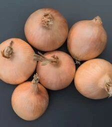 Семена репчатого лука Орленд F1, п.е. 250 тыс. семян (Bejo)