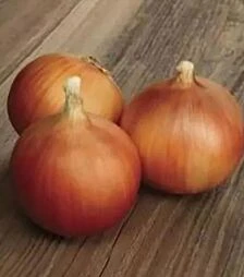 Насіння ріпчастої цибулі Вольф F1 Hazera, п.о. 250 тис. насінин (Hazera)