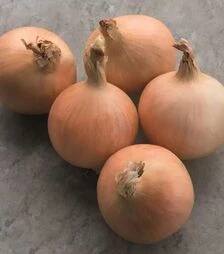 Семена репчатого лука Дритан F1, п.е. 250 тыс. семян (Bejo)