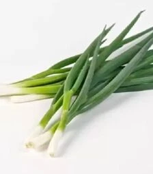 Семена лука батун Йода, 500 г (Sakata)