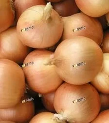 Насіння ріпчастої цибулі Люси, 500 г (Semo)