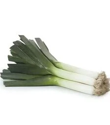 Насіння цибулі порей Матейко F1, п.о. 2,5 тис. насінин (Rijk Zwaan)