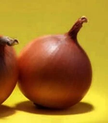 Семена репчатого лука Миннесота F1, п.е. 250 тыс. семян (Seminis)