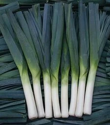 Семена лука-порея Осло F1, п.е. 5 тыс. семян (Enza Zaden)