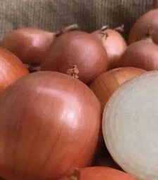 Семена репчатого лука ПХ 07713119 F1, п.е. 250 тыс. семян (Seminis)