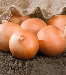 Насіння ріпчастої цибулі Роухайд F1, п.о. 250 тис. насінин (Bejo)