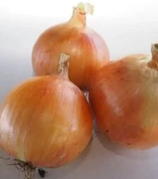 Семена репчатого лука Министер F1, п.е. 250 тыс. семян (Seminis)