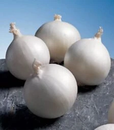 Семена репчатого лука Гледстоун, п.е. 250 тыс. семян (Bejo)