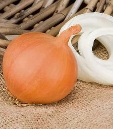 Семена репчатого лука Манас F1, п.е. 250 тыс. семян (Bejo)