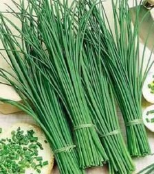 Насіння ріпчастої цибулі Грінпік F1, п.о. 250 тис. насінин (Lark Seeds)