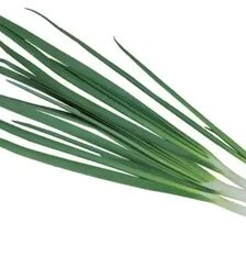 Семена лука батун Легионер F1, 100 г (Gavrish)