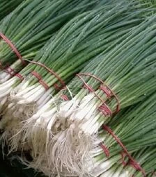 Семена лука батун Тотем, п.е. 10 тыс. семян (Sakata)