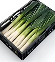 Насіння цибулі порей Плустон F1, п.о. 10 тис. насінин (Nunhems)