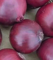 Насіння ріпчастої цибулі Кармен, 500 г (Semo)