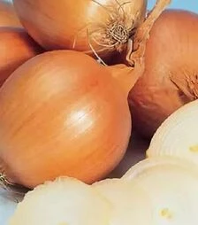 Насіння ріпчастої цибулі Халцедон, 500 г (Коуел)