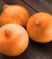 Семена репчатого лука Спениш Медальон F1, п.е. 10 тыс. семян (Sakata)
