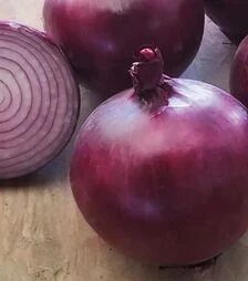 Семена репчатого лука Таннат F1, п.е. 250 тыс. семян (Enza Zaden)