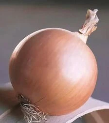 Насіння ріпчастої цибулі Тандерстоун F1, п.о. 250 тис. насінин (Hazera)