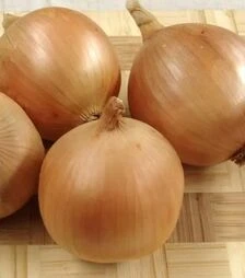 Семена репчатого лука Сталагмит F1, п.е. 250 тыс. семян (Moravoseed)