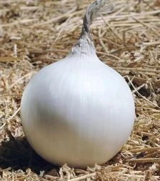 Насіння ріпчастої цибулі Айсперл F1, п.о. 250 тис. насінин (Bejo)