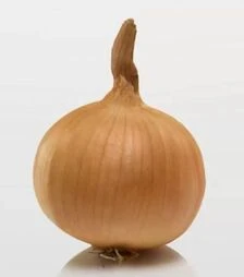 Семена лука сеялки Радар, 10 кг (Broer B.V.)