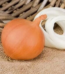 Семена репчатого лука Манас F1, п.е. 250 тыс. семян (bp) (Bejo)