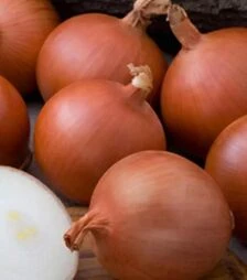 Семена репчатого лука Мелори F1, п.е. 250 тыс. семян (bp) (Bejo)