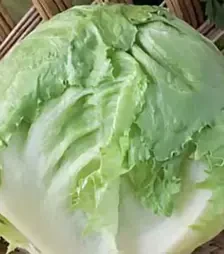 Насіння салату Айсберг Гранді, 500 г (Коуел)