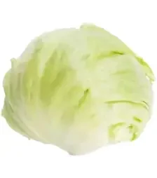 Насіння салату Асмера, п.о. 1 тис. насінин (Rijk Zwaan)