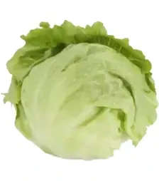 Насіння салату Картагенас, п.о. 1 тис. насінин (Rijk Zwaan)