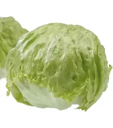 Насіння салату Діамантінас, п.о. 1 тис. насінин (Rijk Zwaan)