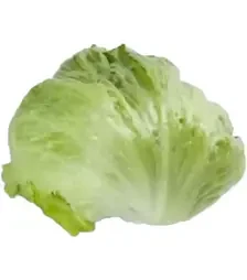 Насіння салату Ікебанас, п.о. 1 тис. насінин (Rijk Zwaan)