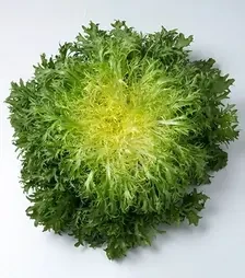 Семена салата Бенефайн, п.е. 1 тыс. семян (Vitalis)