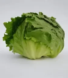 Семена салата Руморс, п.е. 5000 семян (Bejo)