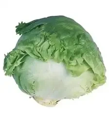 Семена салата Авирам, п.е. 1 тыс. семян (Hazera)