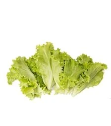 Насіння салату Афилион, п.о. 1 тис. насінин (Rijk Zwaan)