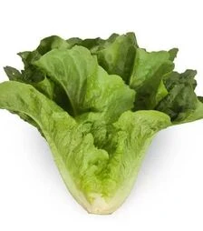 Насіння салату Авон, п.о. 5 тис. насінин (Rijk Zwaan)