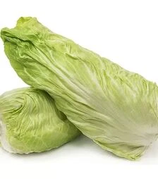 Семена салата Веспер F1, п.е. 5 тыс. семян (Enza Zaden)