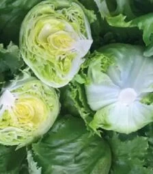 Семена салата Гонзало, и.о. 1 тыс. семян (Vitalis)