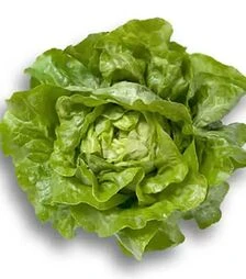 Семена салата Джиска, п.е. 1 тыс. семян (Rijk Zwaan)
