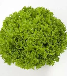 Насіння салату Екзакт, п.о. 5 тис. насінин (Rijk Zwaan)