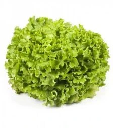 Насіння салату Отілі, п.о. 5 тис. насінин (Rijk Zwaan)