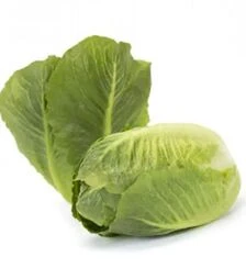 Насіння салату Тендита, п.о. 1 тис. насінин (Rijk Zwaan)