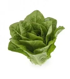 Насіння салату Тукадонна, п.о. 5 тис. насінин (Rijk Zwaan)