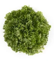 Насіння салату Експонент, п.о. 1 тис. насінин (Rijk Zwaan)