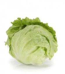 Семена салата Картагенас, п.е. 5 тыс. семян (Rijk Zwaan)