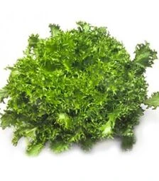 Семена салата Сигал, п.е. 5 тыс. семян (Rijk Zwaan)