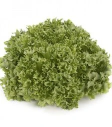 Семена салата Лалик, п.е. 5 тыс. семян (Rijk Zwaan)