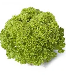 Семена салата Лугано, п.е. 5 тыс. семян (Rijk Zwaan)