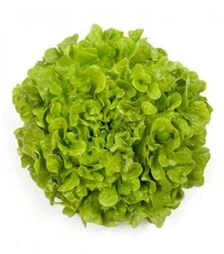 Семена салата Кирибати, и.о. 5 тыс. семян (Rijk Zwaan)